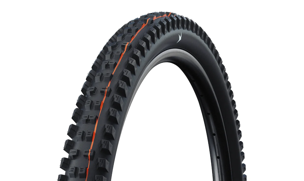 Schwalbe